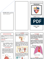 MODELO de TRIPTICO Sistema Respiratorio