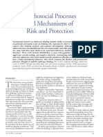 Psychosocial Processes and Mechanisms of Risk and Protection