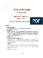 biblia comentada (tomo vii - epístolas católicas apocalipsis).pdf