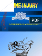 SpineInjury - Dr. Puntodewa