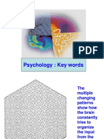 Psychology Key Words