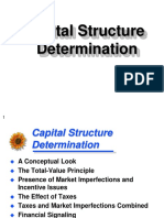 10. cap structure.ppt