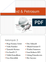 Ppt Petrosum Mastoid