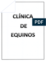 Clinica de Equinos