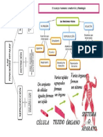funciones vitales y célula.pdf