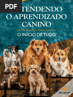 EntendendoOAprendizadoCanino