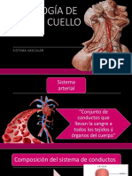 Angiologã A de Cabeza y Cuello