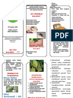 Leaflet Malaria