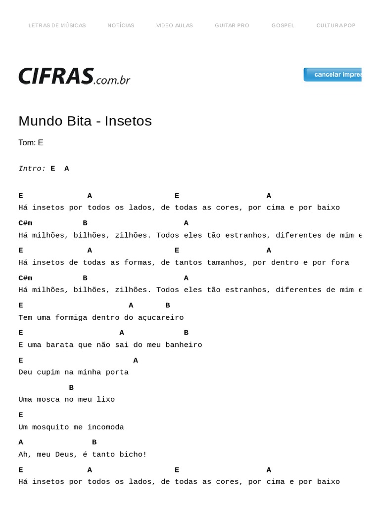 Insetos no Mundo Bita: Letra e Cifras | PDF
