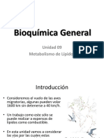 Bioquímica General. Unidad 09 Metabolismo de Lípidos