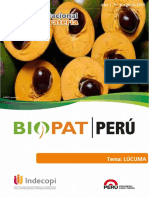 08.-Boletin N8 LUCUMA PDF