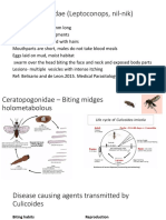 Ceratopogonidae - Biting midges: Medical importance and disease transmission