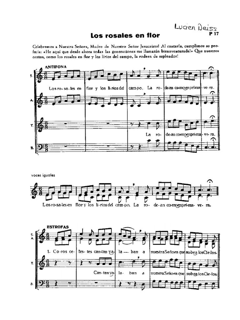 Los Rosales en Flor, Lucien Deiss