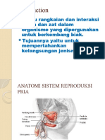 Anfis Sistem Reproduksi 1