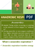 Anaerobic Respiration