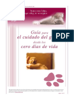 guía final gato.pdf