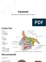 Anatomi Cavitas Oris, Cavitas Nasi, Sinus Paranasalis, Sinus Maxillaris, Gigi