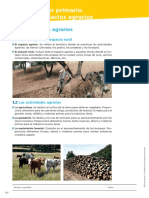 02_adaptacion curricular.pdf