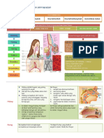 Sistem Pernapasan