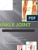 7.ankle Joint