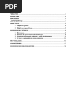 Projeto de Pesquisa Analise Da Biomassa Na Producao de Energia Eletrica(1)