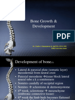 Bone Growth and Development Process