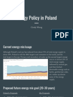 Cindy Wang Poland Energy Policy