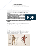 REPASO TEMA 2 NATURALES.docx