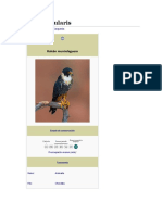 Falco Rufigularis