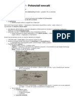 Potenziali Evocati Acustici