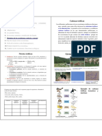 Cadenas Troficas PDF