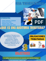 Auditoria Tributaria Expo