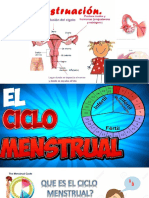 ciclo menstrual.pptx