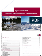 City of Revelstoke draft financial plan 2019