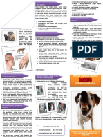 Leaflet Rabies