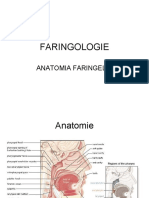 faringite