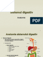 Prezentare Sistem Digestiv6