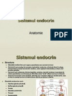 Prezentare sistemul endocrin2