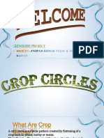 Crop Circles