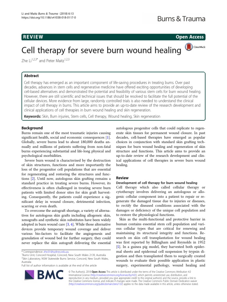 Cell Therapy For Severe Burn Wound Healing: Review Open Access | PDF ...
