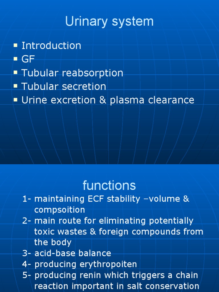 Urinary System GF Tubular Reabsorption Tubular Secretion Urine Excretion & Plasma Clearance
