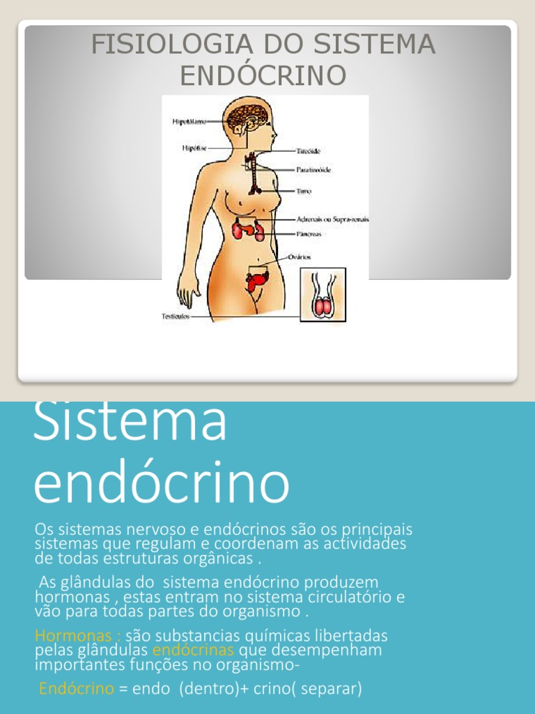 Sistema Endócrino Aula | PDF | Glândula pituitária | Tireoide, image size:768x1024
