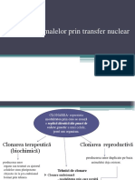 C8 Clonarea Prin Transfer Nuclear