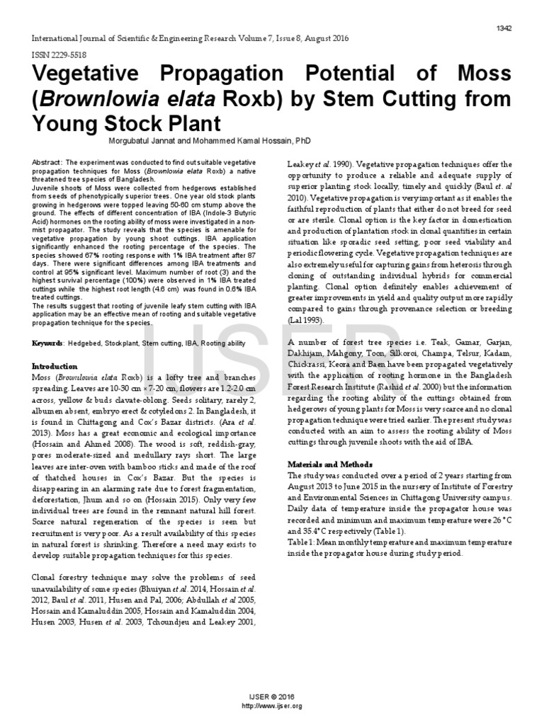 Vegetative Propagation Techniques
