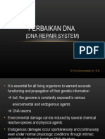 Perbaikan Dna 