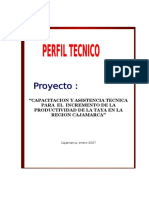 Proyecto Regional Taya-Corregido