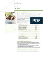 Zinc DatosEnEspanol PDF
