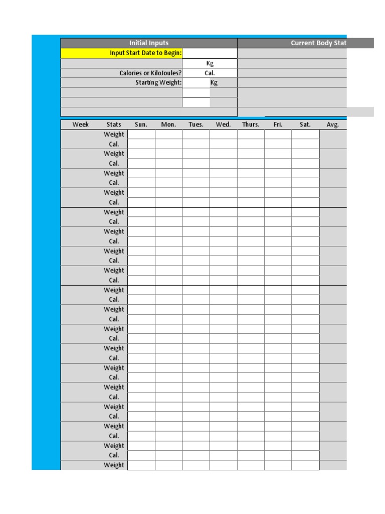 Initial Inputs Current Body Stats | PDF