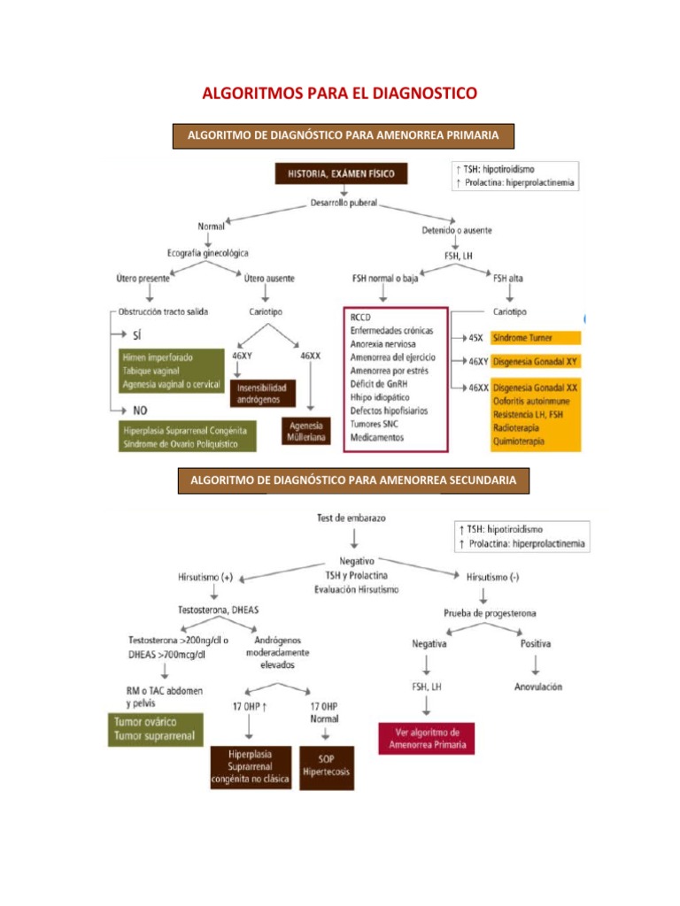 Algoritmos Diagnósticos de Amenorrea | PDF