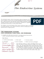 KEY - Endocrine System Test Review - 2013